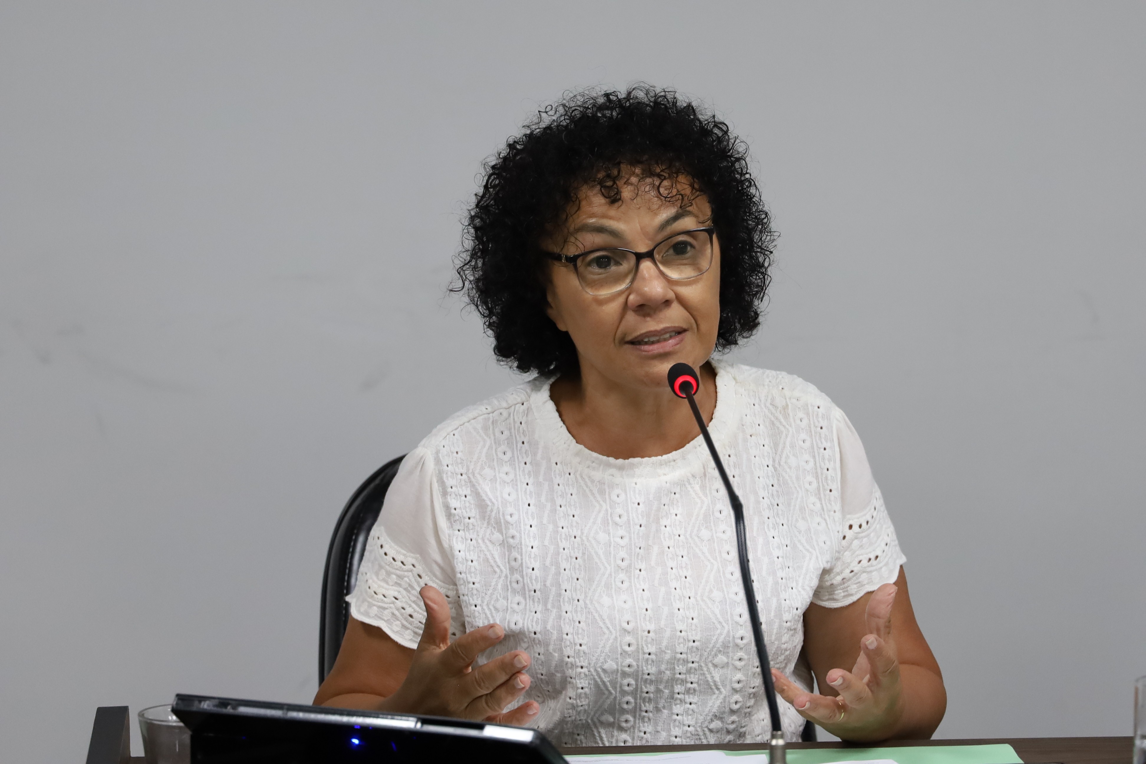 Leonora Périco pede instalação de redutor de velocidade em avenida do bairro Vila Bela